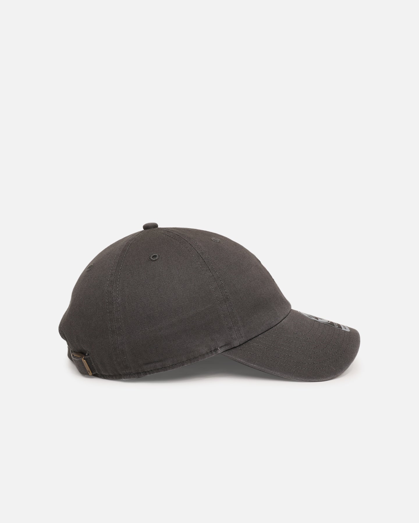 47 Brand Black Labrador 'Dog Collection' 47 Clean Up Strapback Charcoal