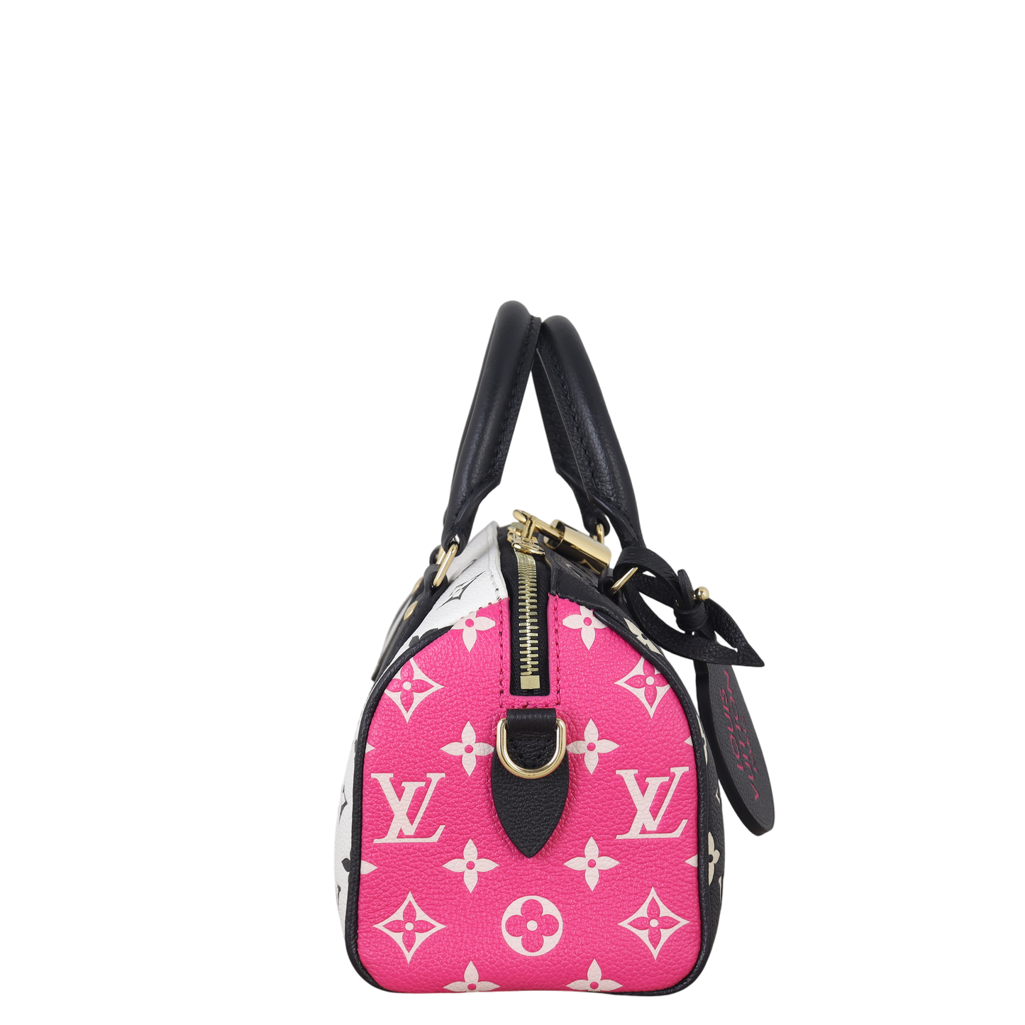 Louis Vuitton Speedy 20 Bandouliere Monogram Spring in the City