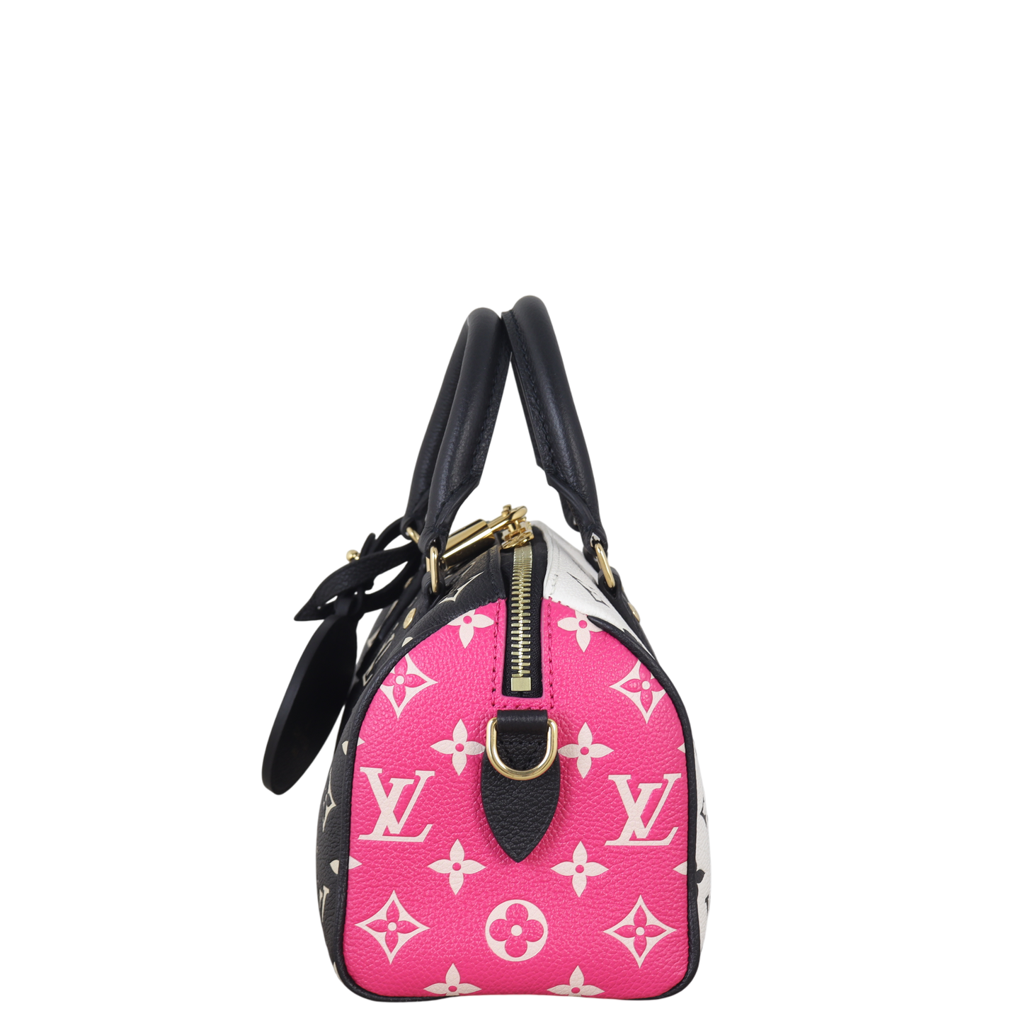 Louis Vuitton Speedy 20 Bandouliere Monogram Spring in the City
