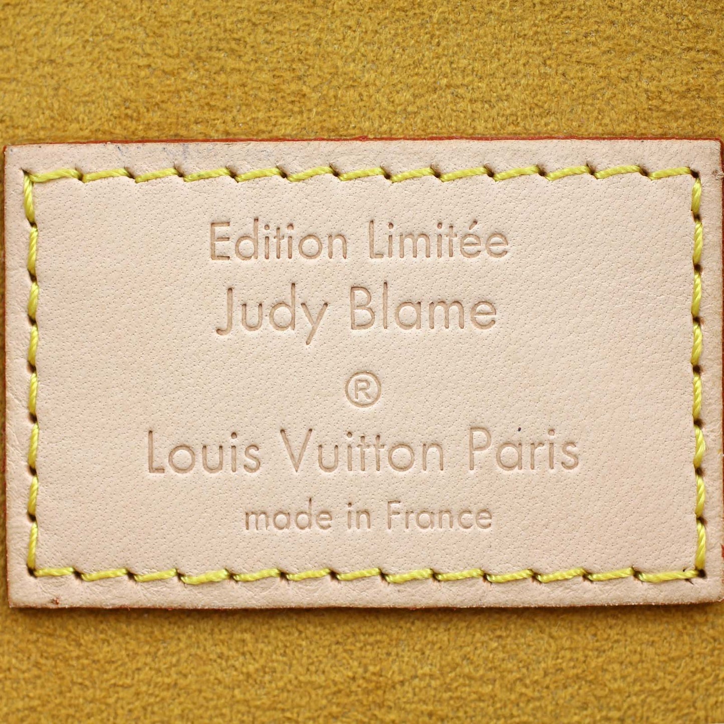 Louis Vuitton Monogram Denim Pleaty Raye Bag