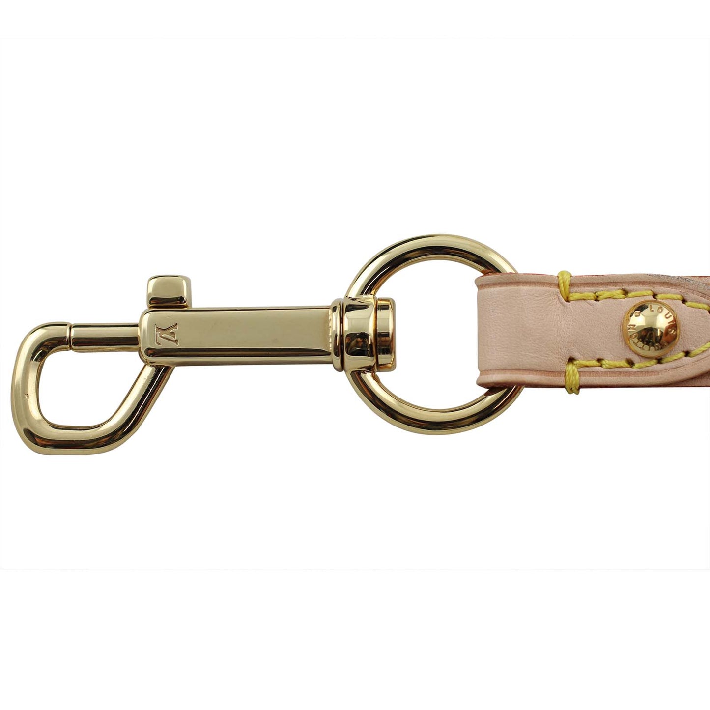 Louis Vuitton Monogram Denim Pleaty Raye Bag