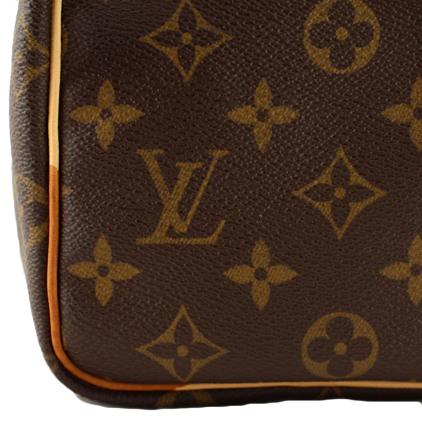 Louis Vuitton Speedy 25 Monogram