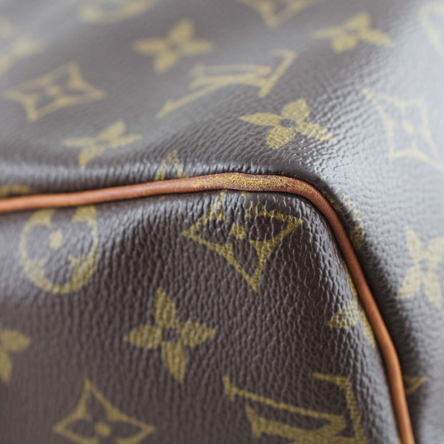 Louis Vuitton Speedy 30 Monogram