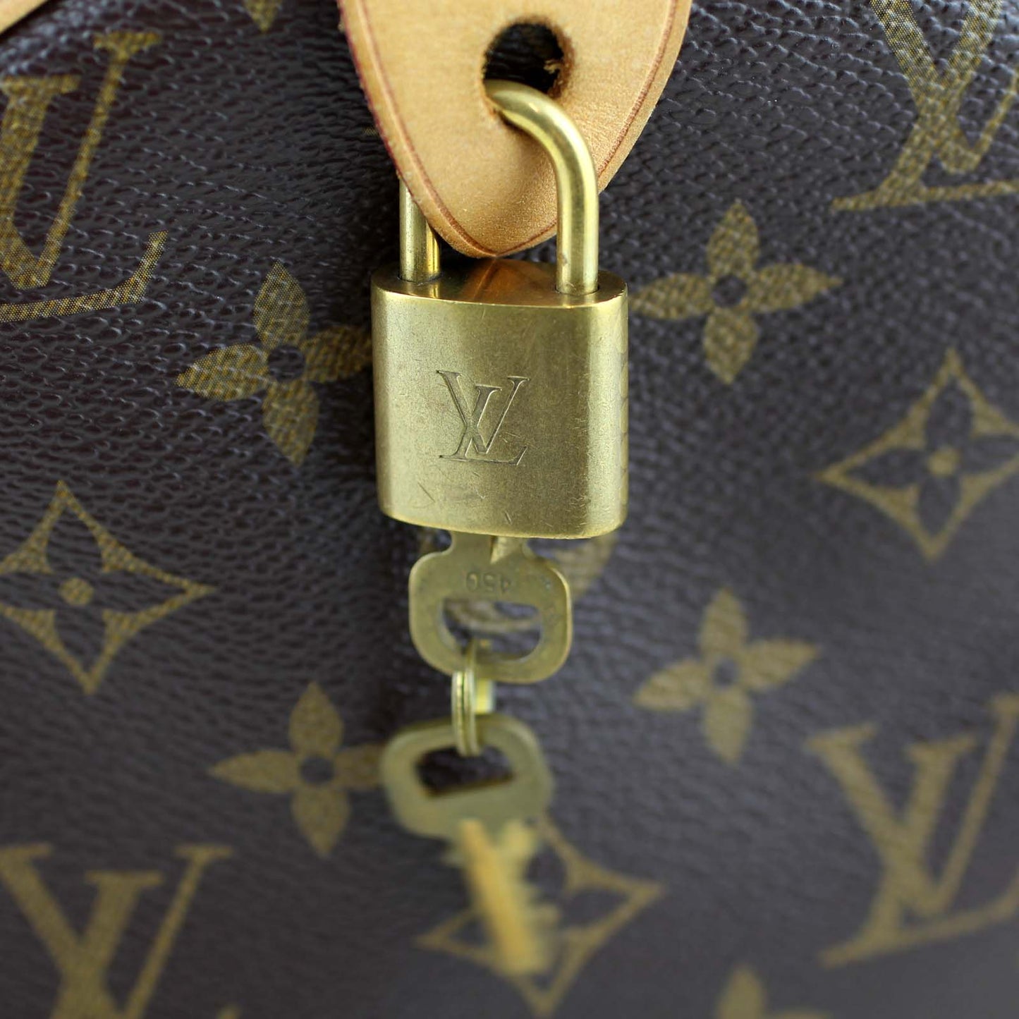 Louis Vuitton Speedy 30 Monogram