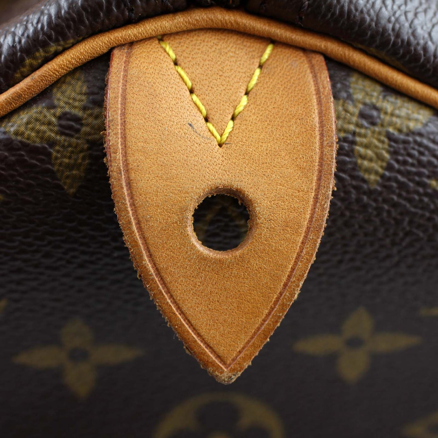 Louis Vuitton Speedy 30 Monogram