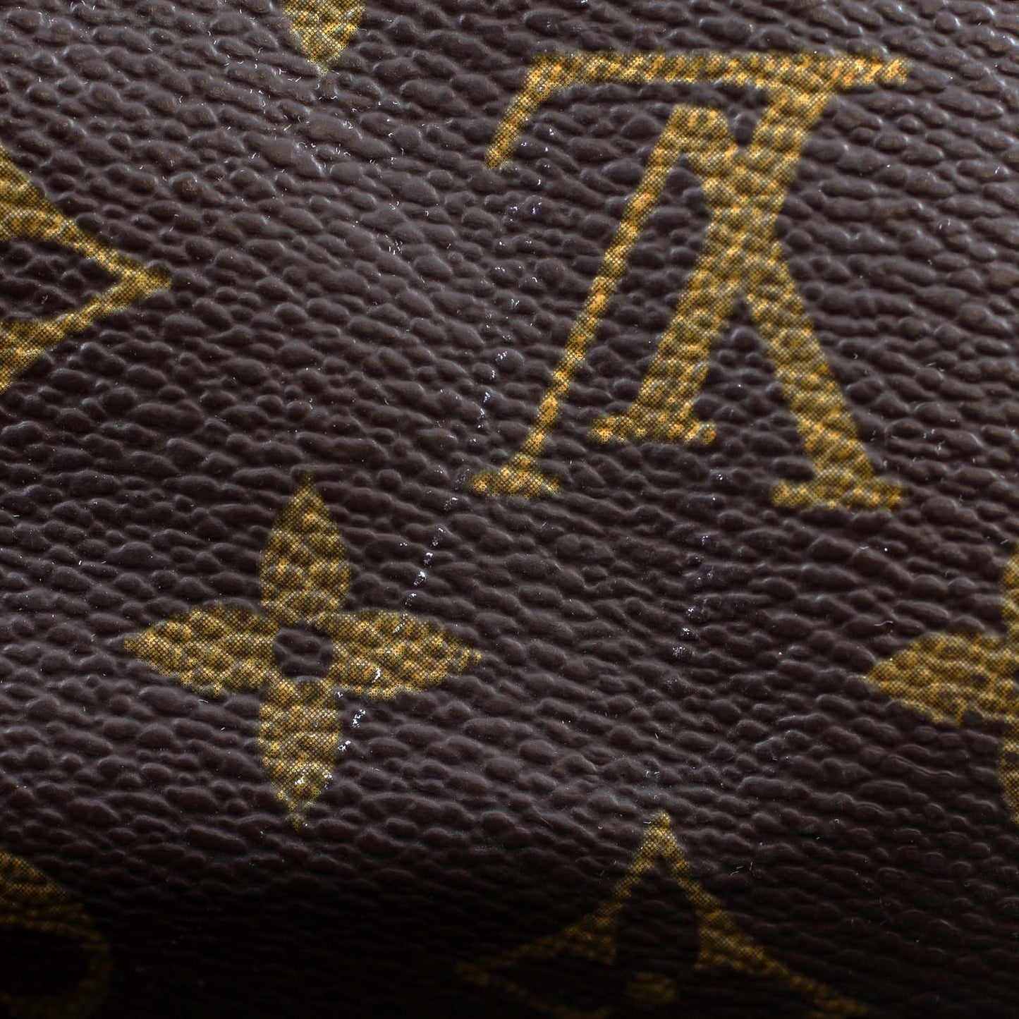 Louis Vuitton Speedy 30 Monogram