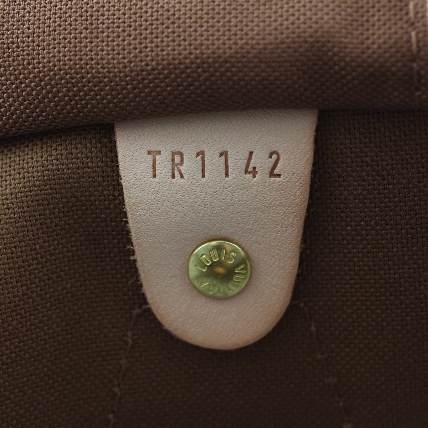 Louis Vuitton Speedy 30 Monogram