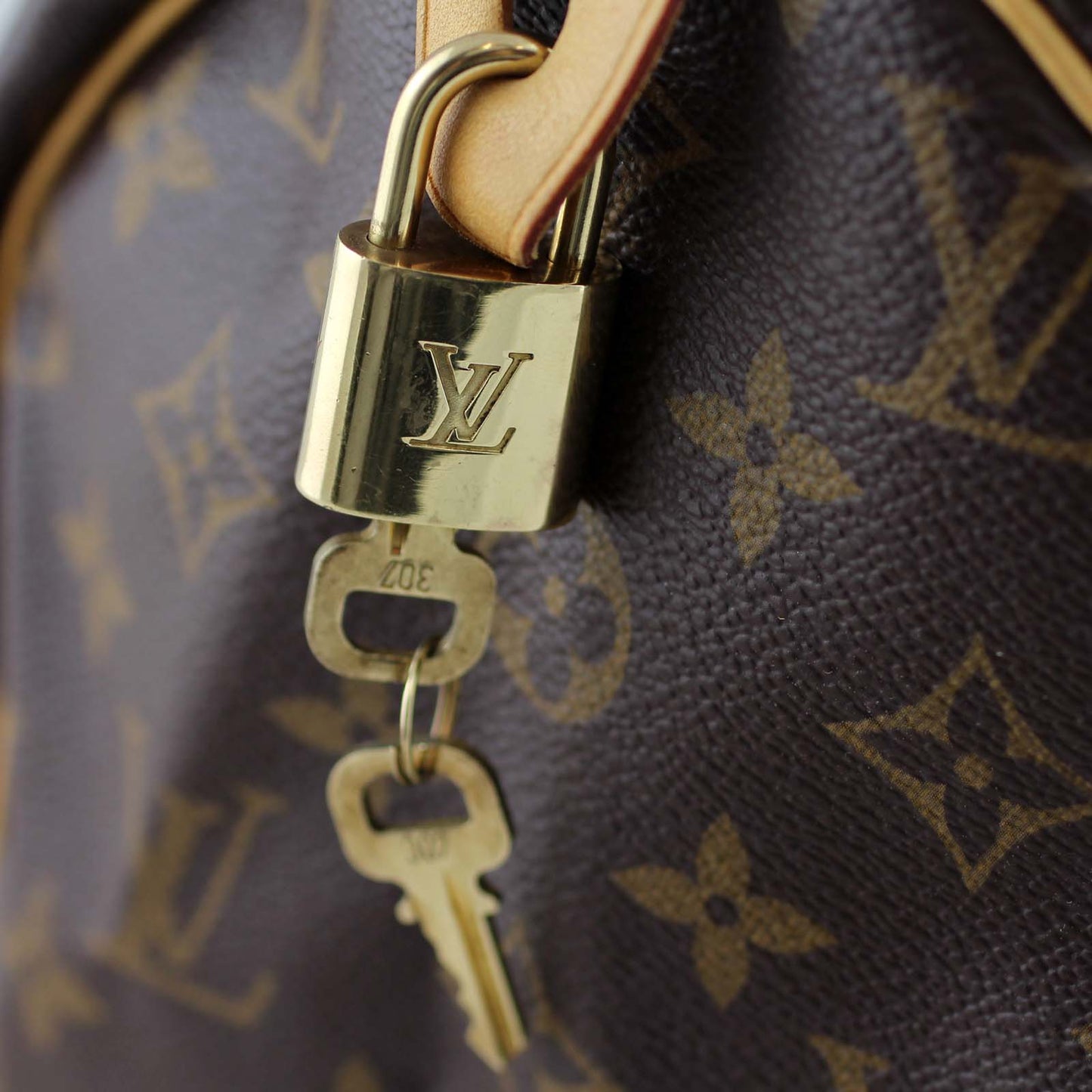 Louis Vuitton Speedy 30 Monogram