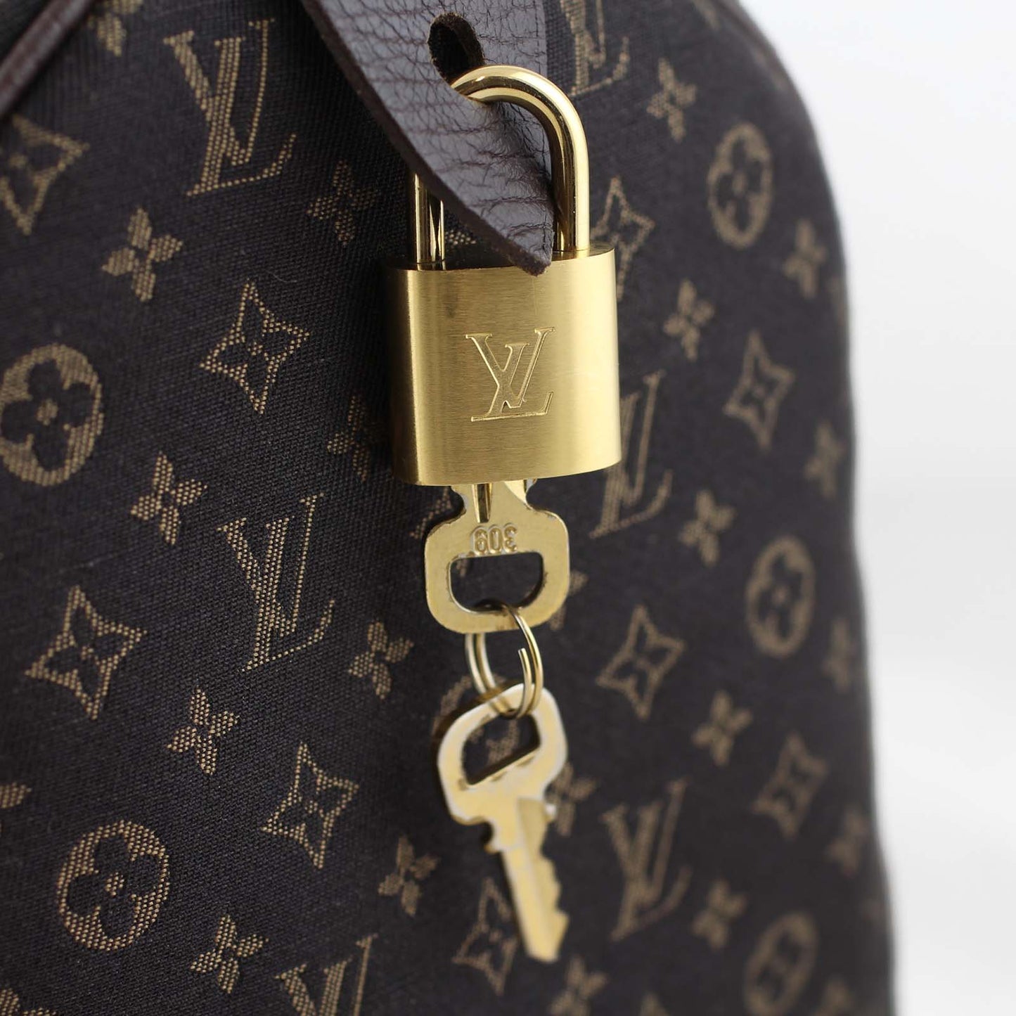 Louis Vuitton Monogram Idylle Speedy 30